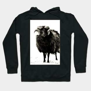 Black Ram Hoodie